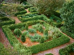 boxwood an antebellum garden garden