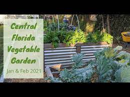 Central Florida Vegetable Garden