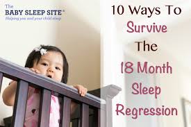 18 Month Old Toddler Sleep Regression Toddlers The Baby