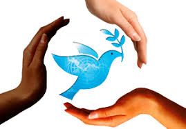 Image result for international peace day