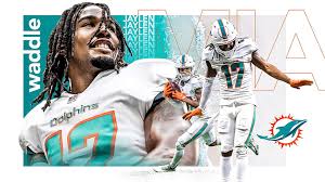 dolphins miami dolphins cool