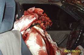 Barrett 50 cal bullet wound from nygunforum.com. 50 Caliber Sniper Round To The Face