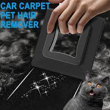 car interior carpet pet hair remover