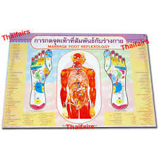 Details About Poster Sketch Chart Of The Foot Reflexive Zones By Thai Foot Massage Set No 02