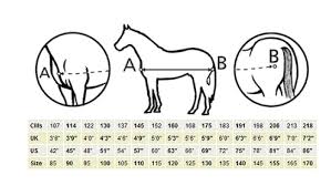 bucas s guide to mering your horse
