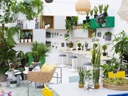 Easy Interior Garden Ideas From Chelsea