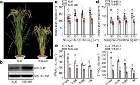 modulating plant growth metabolism