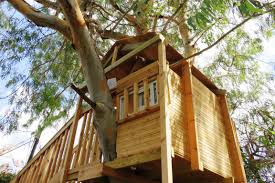 27 awesome tree house ideas for kids