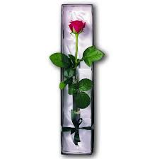 luxury single red rose send single