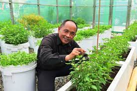 Rooftop Herb Garden