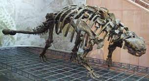 Timeline of ankylosaur research - Wikipedia