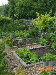 Kitchen Garden Ideas Vegetable Garden