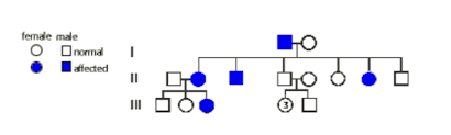Use The Pedigree Diagram Below To Answer The Followin