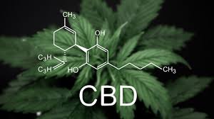It is one of 113 identified cannabinoids in cannabis plants, along with tetrahydrocannabinol (thc). Cbd Fur Sportler Besonderheiten Und Nutzen