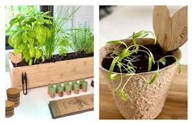 11 Home Growing Kits To Nourish Your