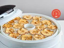 best food dehydrator 2021 for dried