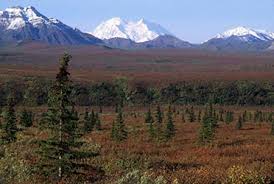 8,687 km 2 ) that correspond with the former park boundaries before 1980. Denali Wilderness Wilderness Connect