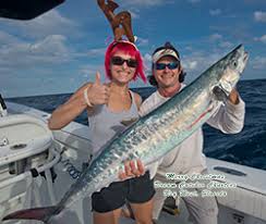 Key West Fishing Seasons Calendar Best Time To Go Fishing