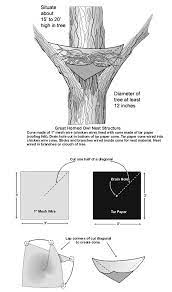 Great Horned Owl Nest Box Plan