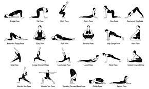 yoga poses images browse 908 089