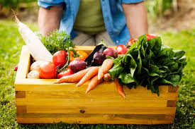 herbicides for your vegetable garden