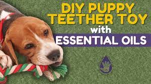 diy puppy teether toy how to make