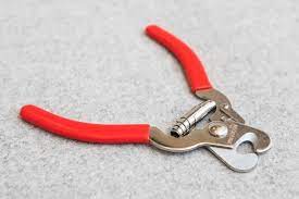 the best dog nail clippers reviews by