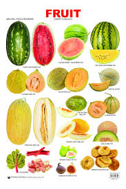Educational Charts Series Fruit Chart 4