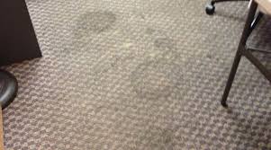 how to dry carpet after water damage