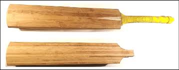 prototype bamboo cricket bats