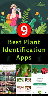Leafsnap uk is originally developed by researchers from columbia university, the. 9 Best Free Plant Identification Apps For Android Ios Plant Identification App Plant Identification Plant App