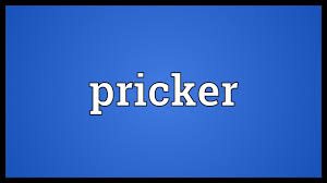 Pricker Meaning - YouTube