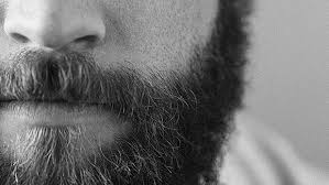 Grow A Better Beard A Day By Day Guide
