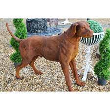 Tucker Cast Iron Dog Garden Statue