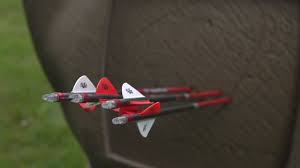 New Carbon Express Maxima Red Sd Deadly Small Diameter Hunting Arrow