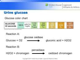 urine glucose levels chart not dead