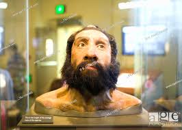 Model of Neanderthal man displayed in the National Museum of Natural  History, Washington DC, Stock Photo, Picture And Rights Managed Image. Pic.  Y5J-1596503 | agefotostock