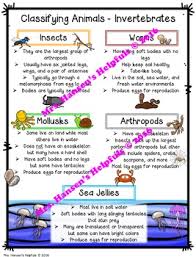 Classifying Animals Science Anchor Charts And Poster Set