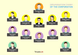 Circular Organizational Chart Template Javestuk Com