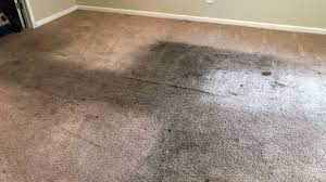 heavily soiled living room carpet