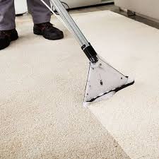 carpet cleaning mint carpet cleaners