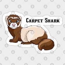 ferret carpet shark ferret sticker