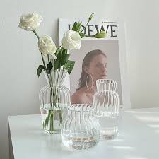 Transpa Glass Vases For Plant
