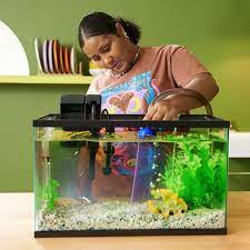 How To Clean A Fish Tank Freshwater