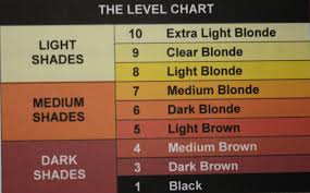the international hair colour chart