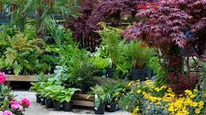 The Best Garden Centres And Plant S