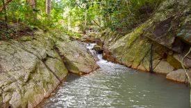 Easily find waterfall property for sale at landflip.com. Peaceful Flat Land For Sale With Waterfall In Maenam Land For Sale In Surat Thani Thailand Property