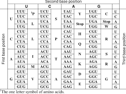 the standard genetic code table
