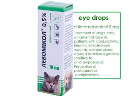Сhlorhenicol eye infection drops