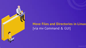 move files and directories in linux